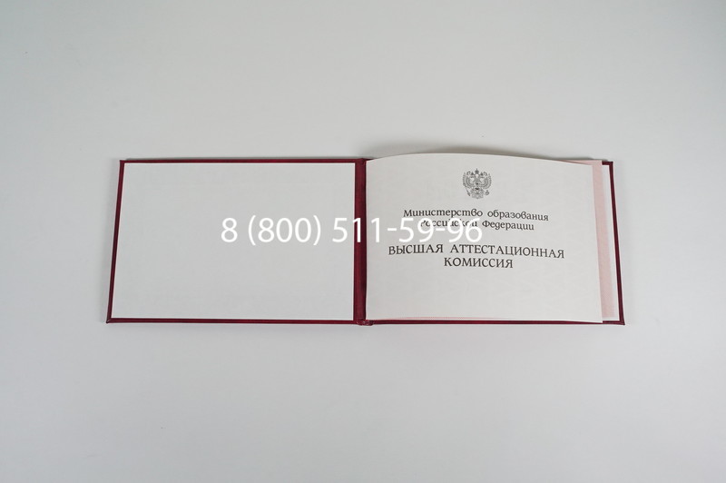 Диплом доктора наук 1995-2006 года в Абакане Диплом доктора наук 1995-2006 года в Абакане