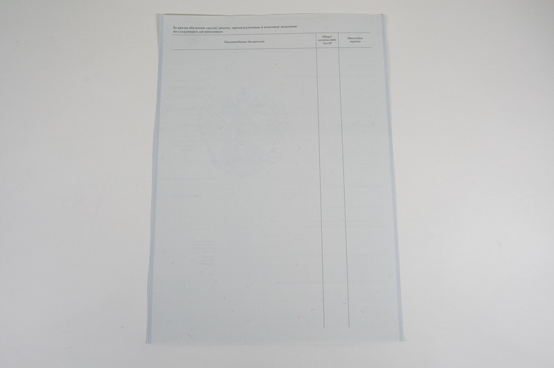 Диплом о начальном образовании 2007-2009 годов в Абакане Диплом о начальном образовании 2007-2009 годов в Абакане
