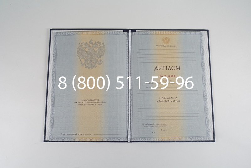Диплом специалиста 2012-2013 годов в Абакане Диплом специалиста 2012-2013 годов в Абакане